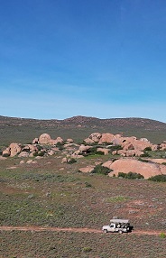 game drive